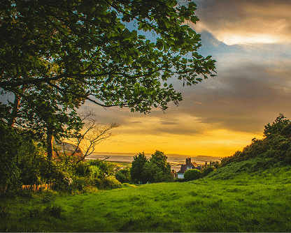 high performance internet for busy teams