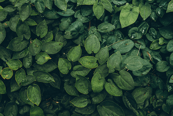 high performance internet for busy teams